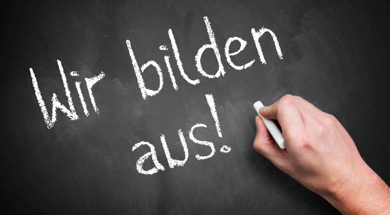 wirbildenaus
